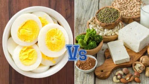 Vegetarian Protein Powerhouses: 20 Foods That Outperform an Egg
Or:
Beyond the Egg: Top 20 Vegetarian Foods to Supercharge Your Protein Intake