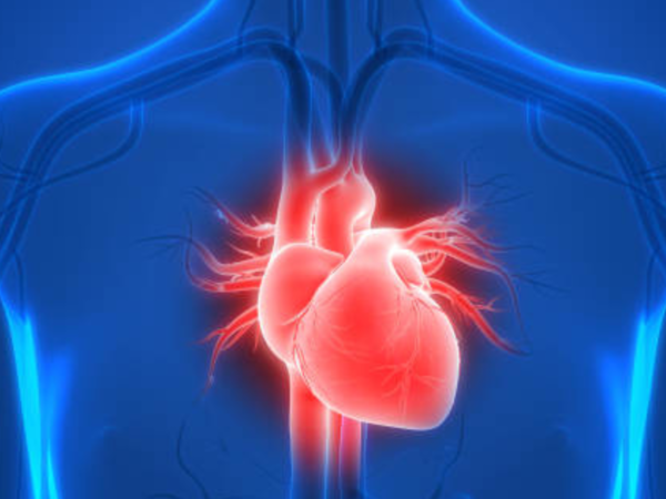 Hydration boosts heart health.