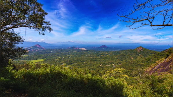 Lakkidi Gateway, Wayanad, Kerala